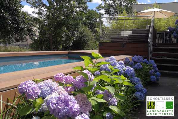 Foto konnte nicht geladen werden